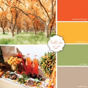 Inspire, Create, Celebrate {kumquat + sage}