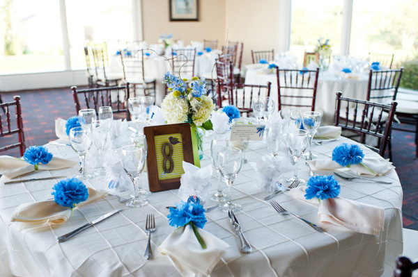 blue-white-green-diy-wedding blue-white-green-diy-wedding