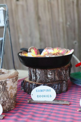 camping-party-cookies camping-party-cookies