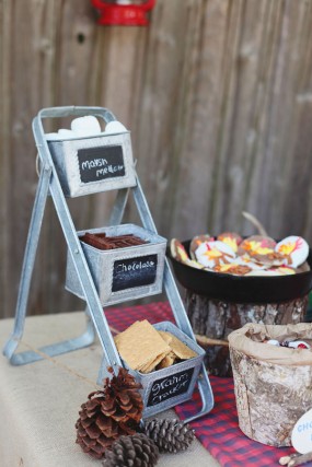 diy-camping-party-smores-bar diy-camping-party-smores-bar