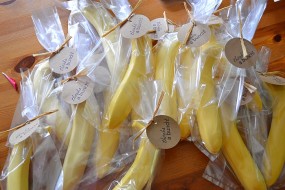 DIY Safari Baby Shower