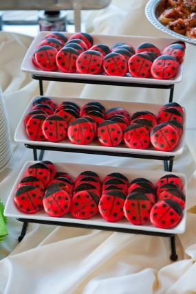 ladybug-cookies ladybug-cookies