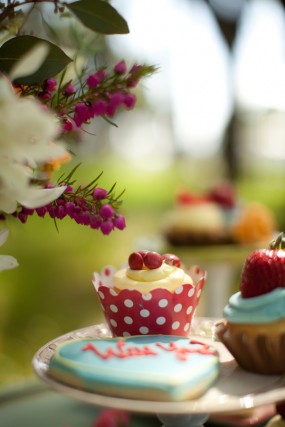 colorful-picnic-engagement-session