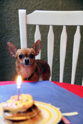 diy-birthday-brunch