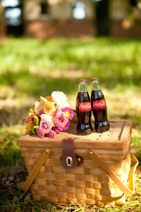 engagement-session-picnic