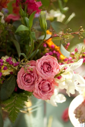 pink-roses-engagement-session