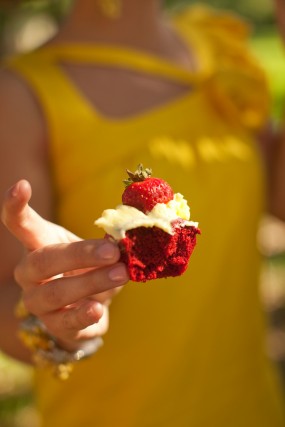 red-velvet-cupcake-engagement