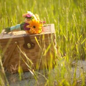 A Colorful Heart-Filled Engagement Session