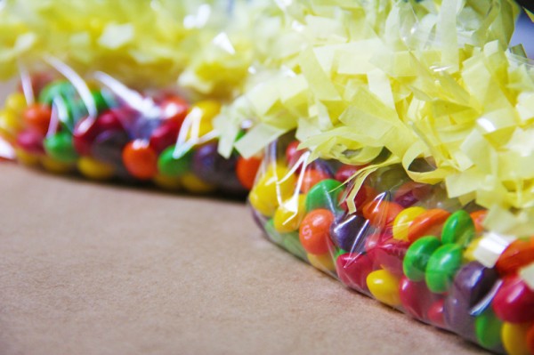 diy-ziplock saco-party-favores diy-ziplock saco-party-favores
