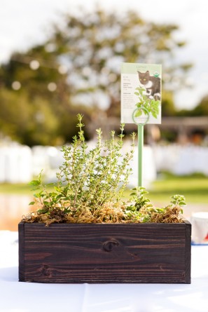 offbeat-diy-spring-inspired-california-wedding9