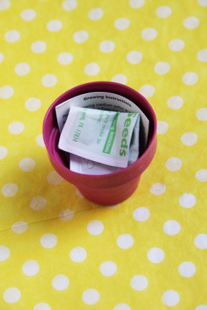 seed-kit-place-cards seed-kit-place-cards