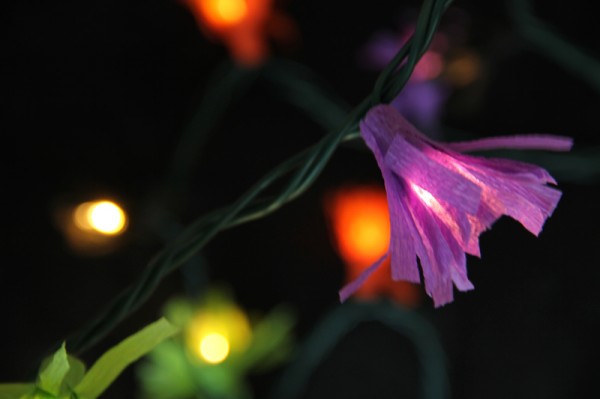 DIY Fringe String Lights | Studio DIY
