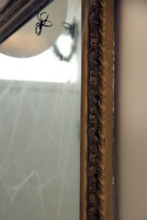 Spiderweb Mirrors Spiderweb Mirrors