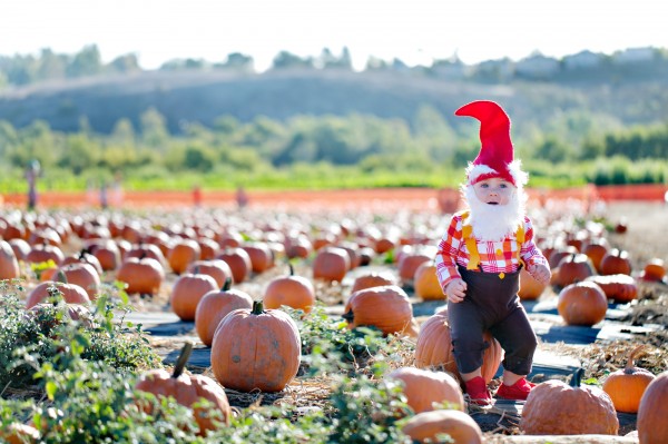 Gnome Costume Gnome Costume
