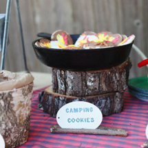 camping-party-cookies-285x427