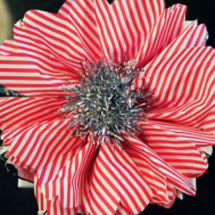 diy-christmas-tissue-paper-flowers-285x189
