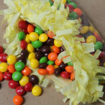 diy-gringe-zip-lock-bags-297x197