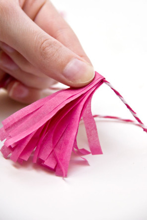 Mini Tissue Paper Tassels