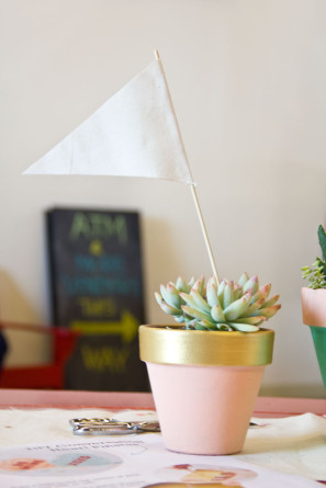 Succulent Centerpieces