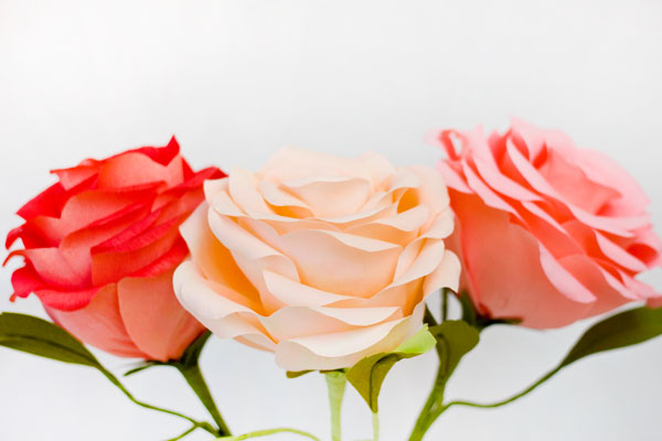 DIY Giant Crepe Paper Roses