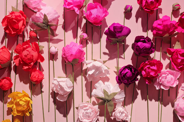 Paper Flower Wall Snow and Graham